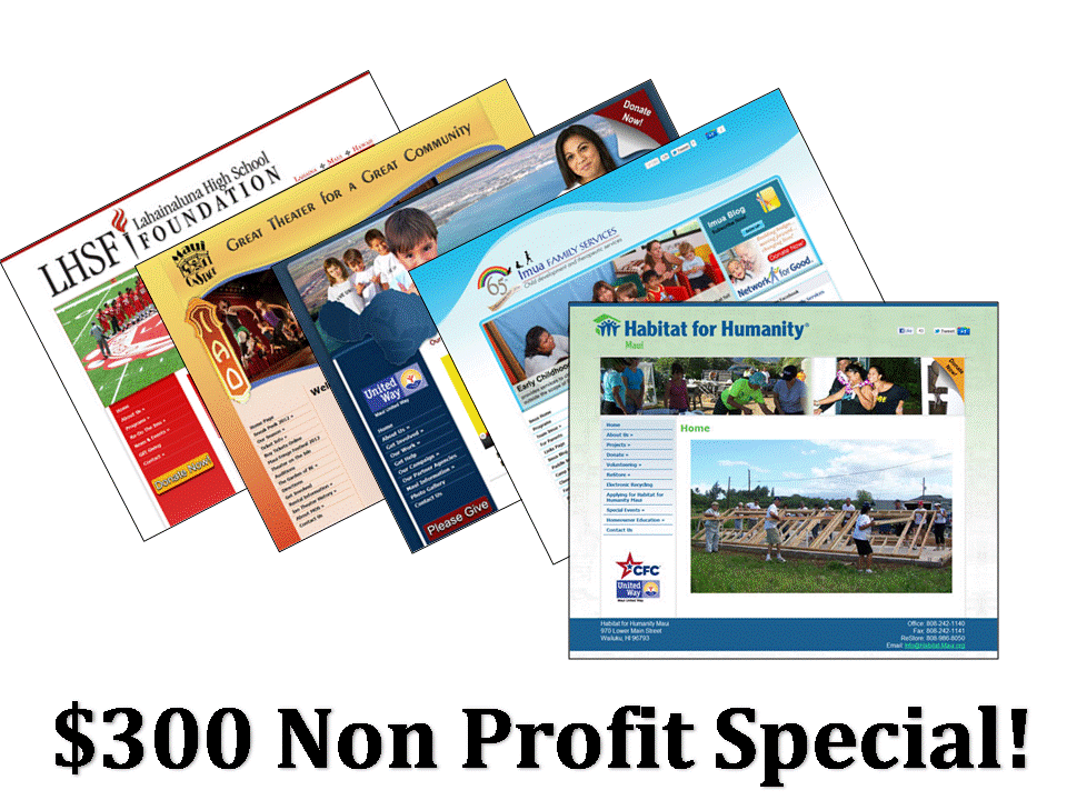 Maui Non Profit Website Special